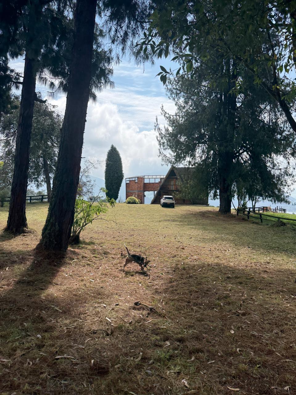 Chalet entre los pinos