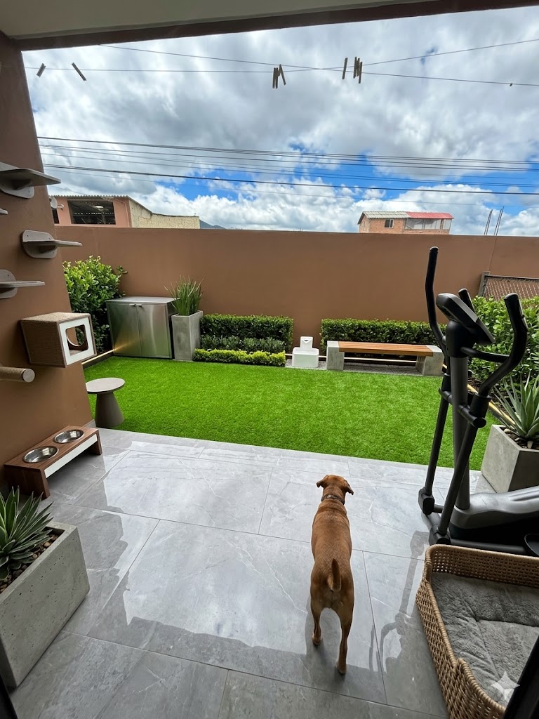 Sala y Cocina